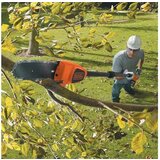 Black & Decker Aku trimer za grane | ePonuda.com