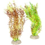 Duvo Egeria Densa Biljke za akvarijum, M, 25cm