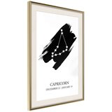  Poster - Zodiac: Capricorn I 40x60 | shoptok.hr