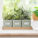 Orion Metalne posude za cvijeće u setu 3 kom za bilje Greenish – | shoptok.hr