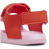 Puma Sandali & Odprti čevlji Divecat V2 Injex pisana | Shoptok.si