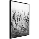  Poster - Shadow of Meadow 20x30 Cijene