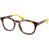 Polo Ralph Lauren PH2267 6089 L (52) Havana/Kristalna Cene