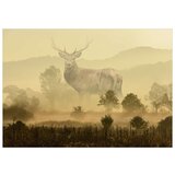  Tapeta - Dreamlike Image 300x210 | shoptok.hr