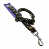 Iguana Komplet 20mm-gurtna | ePonuda.com