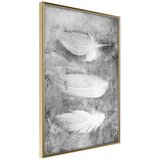  Poster - Delicate Feathers 20x30 | shoptok.hr