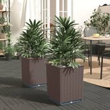 vidaXL Visok lonec 2 kosa rjave barve 30x30x37 cm polipropilen | Shoptok.si