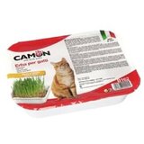 Camon mačja trava A2201213 Cene