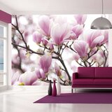  Tapeta - Magnolia bloosom 250x193 Cijene