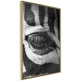  Poster - Zebra Is Watching You 30x45 | shoptok.hr