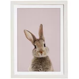 Querido Bestiario Stenska slika v okvirju Baby Rabbit, 30 x 40 cm