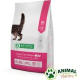 Natures Protection Hrana za mačiće velikih rasa Large Kitten, 2 kg Cene