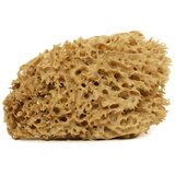 Cose della Natura honeycomb-naravna spužva - medium, 8-10 g | Shoptok.si
