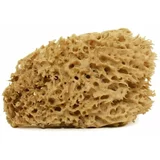 Cose della Natura honeycomb-naravna spužva - medium, 8-10 g
