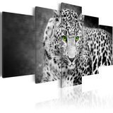  Slika - Leopard - black&amp white 200x100 Cijene