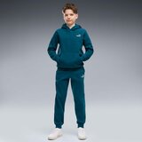 Puma Flis Ess 2 Color Small No. 1 Logo Hoodie Fl B pisana Cene