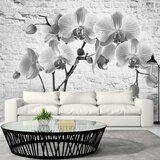  Tapeta - Orchid in Shades of Gray 400x280 | shoptok.hr