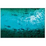  Slika - A shoal of dark fish 30x20 Standard | shoptok.hr