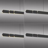 SCHÖNER WOHNEN 12577-18 - led prigušiva luster na sajli adriana 2xLED/24W/230V crna | Eponuda.com