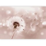  Foto tapeta - Summer Odyssey 450x315 | shoptok.hr