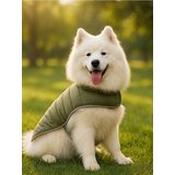 Sinsay Kostim za kućne ljubimce | shoptok.hr