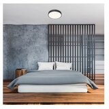 Rabalux Stropna rasvjeta - Tesia | shoptok.hr