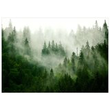  Tapeta - Mountain Forest (Green) 250x175 | shoptok.hr