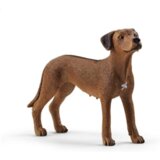 Olimp Sport Pas Rodezijski ridzbek | ePonuda.com