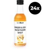 GymBeam Ginger Shot sa pasijim trnom | ePonuda.com
