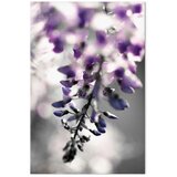  Slika - Violet Ringtones (1 Part) Vertical 60x90 | shoptok.hr