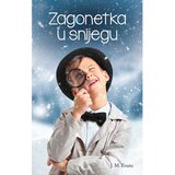 Figulus Zagonetka u snijegu - J.M. Evans | shoptok.hr