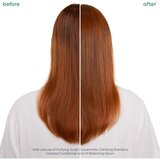 Biolage ScalpSync šampon za čišćenje 250 ml | shoptok.hr