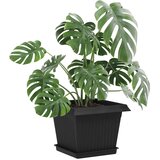  Saksije za biljke 6 pcs Crna 23 x 23 x 17,5 cm Plastika | shoptok.hr