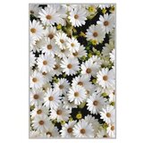 Conceptum Hypnose tepih HMNT521, 100x150cm, šareni | Eponuda.ba