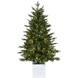  Ngd jelka u saksiji, sa led svetlom, D.91X137CM 200LED 426T pvc Cene