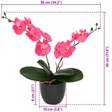  Umjetna orhideja Crvena 36 x 10 x 30 cm Tkanina, PE i PEVA | Eponuda.com
