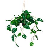 MID.YOU Umetna Rastlina Monstera Climb Cene