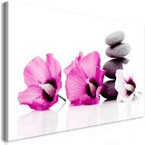  Slika - Calm Mallow (1 Part) Pink 120x60 Cijene