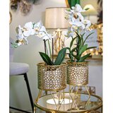 Mauro Ferretti Metalni stalci za tegle za cvijeće u setu 2 kom ø 16 cm (visina 20 cm) Piny – | shoptok.hr
