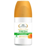L'angelica Fresh deo roll-on 50 ml