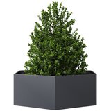  Vrtna sadilica antracit šesterokutna 138 x 120 x 45 cm čelična | Eponuda.com