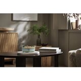WoodWick Trilogy Verdant Woods dišeča sveča z lesenim stenjem 453.6 g | Shoptok.si