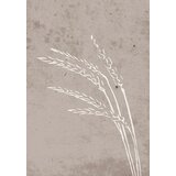 Venture Home poster Seeds 70 × 100 cm, bež | shoptok.hr