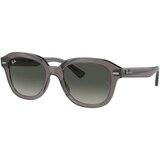 Ray-ban Erik Naočare za sunce RB 4398 667571 Cene