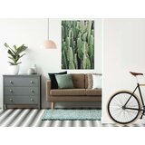  Slika - Cactus Garden (1 Part) Vertical 80x120 | shoptok.hr