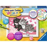  Slikanje po številkah - Ljubki mucki Cene