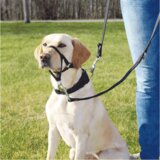 Trixie Korpa za pse trening Control | ePonuda.com