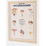 Sinsay Uokvireni zidni poster s motivom gljiva | shoptok.hr