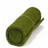  Dekorativna podloga od mahovine Moss, 205x50cm, Zelena Cene