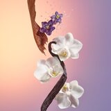 Sol de Janeiro Delicia Drench mehčalno olje za prhanje 90 ml | Shoptok.si